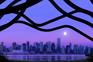 中山东凤借钱空放利息揭秘：揭秘真实利率，助您明智贷款