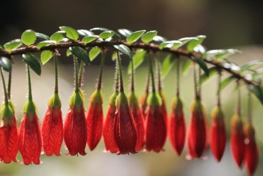 中山东凤私人快速借钱网，轻松解决资金难题