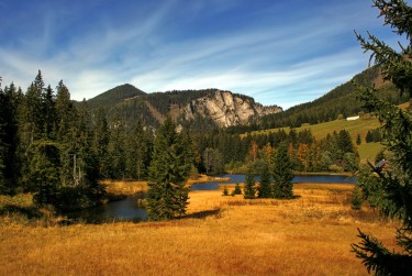 中山东凤民间私贷攻略：揭秘低成本借贷的秘密