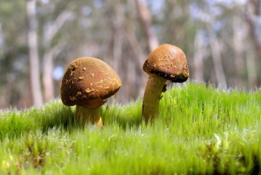 中山东凤私人老板放款：轻松融资的秘密通道